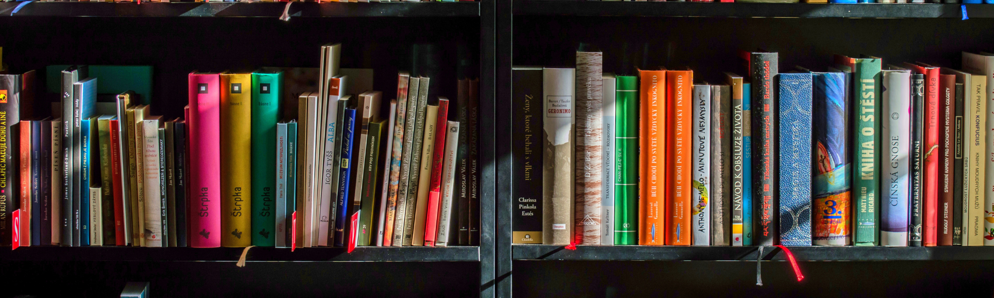 Vendere libri